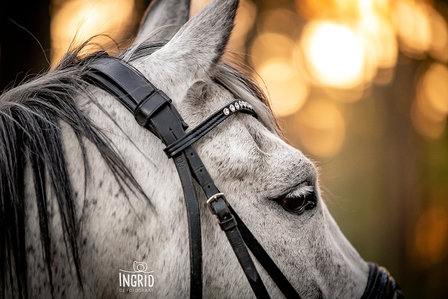 Browband All Crystal - Luxury