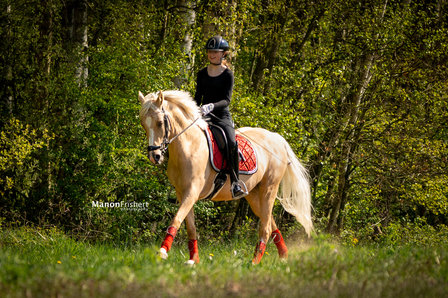 Browband Crystal &amp; Red - Subtile