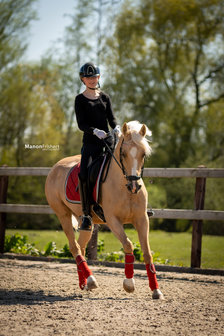 Browband Crystal &amp; Red - Subtile