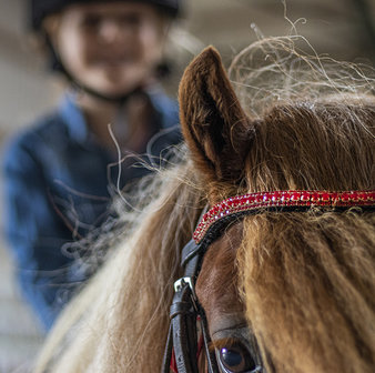 Browband Red - Subtile