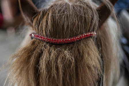 Browband Red - Subtile