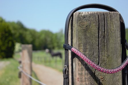 Browband Pink - Subtile