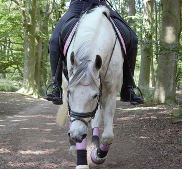 Browband Pink - Subtile