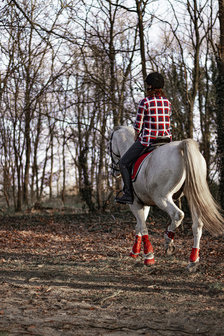 zadelsieraad crystal &amp; black