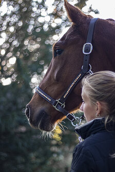 halster rose gold &amp; rainbow