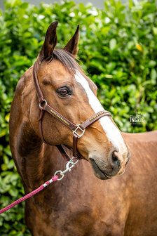 leren halster bruin goud