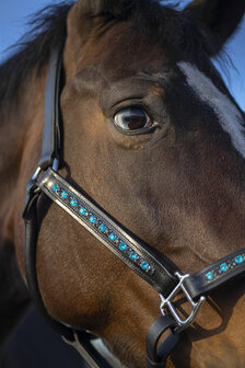 leren halster Bling aqua diamond