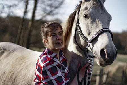 Leren halster zwart all crystal