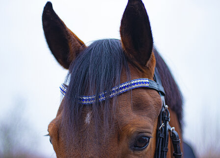 Frontriem blauw &amp; Crystal