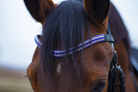 Frontriem blauw &amp; Crystal