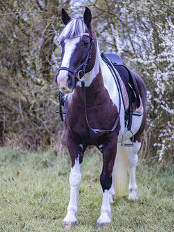 Browband rose gold &amp; little pearl