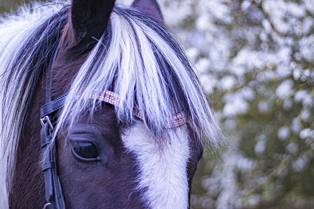 Browband rose gold &amp; little pearl