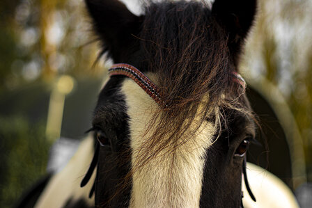 Browband Bordeaux Red &amp; Black - Embrace