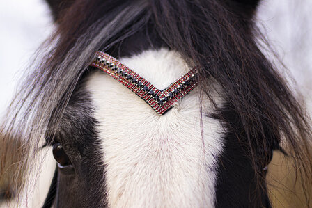 Browband Bordeaux Red &amp; Black - Embrace