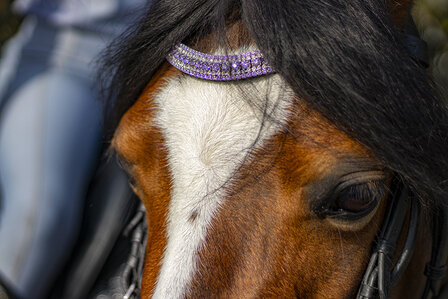 Frontriem Lavender &amp; Crystal 