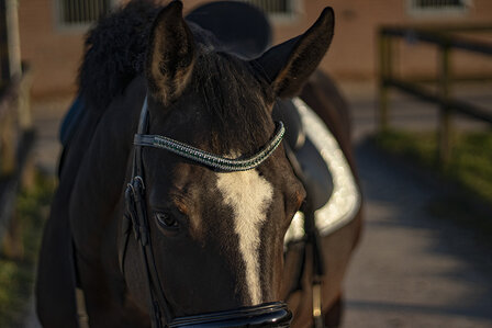 frontriem donker groen &amp; crystal