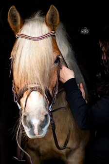 Browband Rose Gold &amp; Black