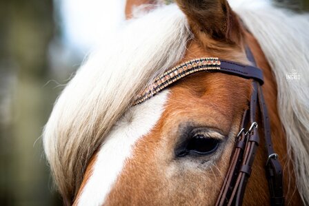 Browband Rose Gold &amp; Black