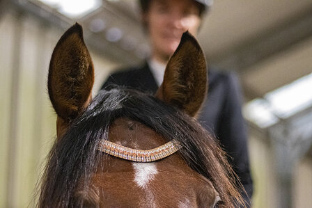 Browband Rose Gold &amp; Crystal