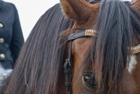 Browband Rose Gold &amp; Crystal