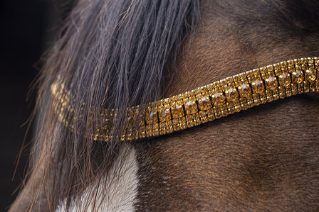 Frontriem Gold