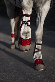 Springschoenen glitter rood