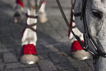 Springschoenen glitter rood