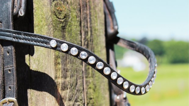 Browband All Crystal - Luxury