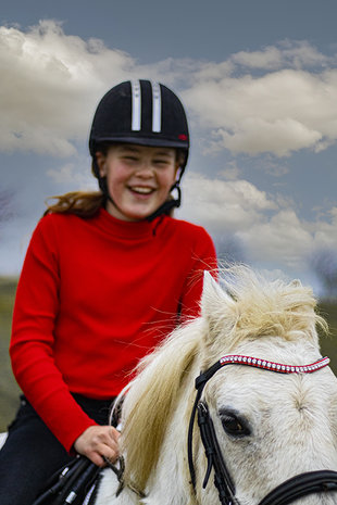 Frontriem rood en crystal