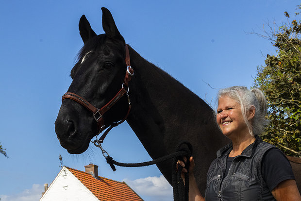 Leren halster bling black diamond