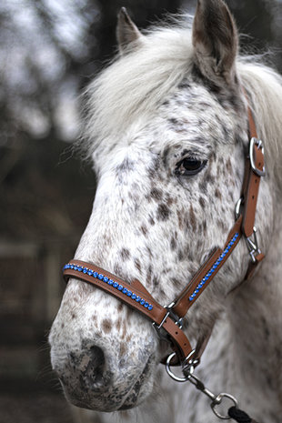 Leren halster licht blauw