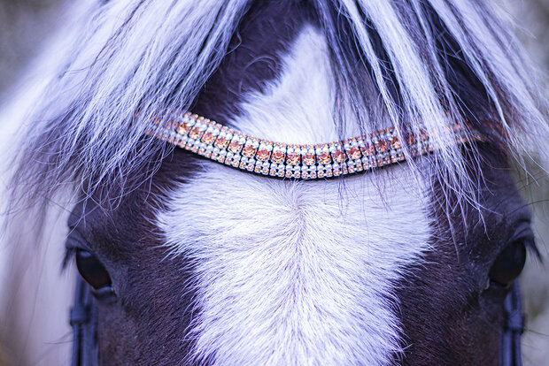 Show Browband Dressage Browband Crystal and Pearl Brow Band  Xfull Full Cob Pony 