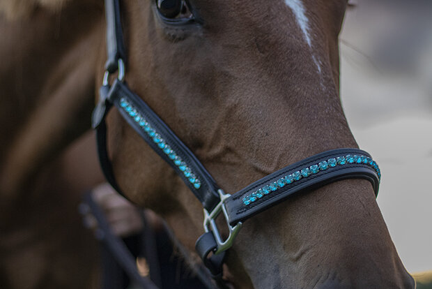 Halter Bling Aqua - Bling Your Horse Halter Bling Aqua - Bling Your Horse