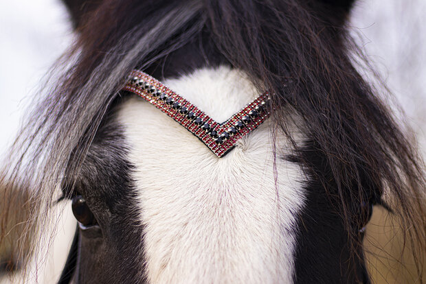 Browband Bordeaux Red & Black - Embrace