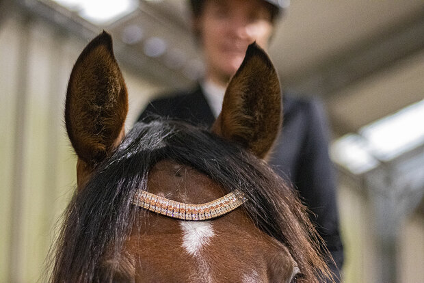 Browband Rose Gold & Crystal