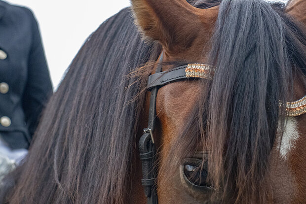 Browband Rose Gold & Crystal