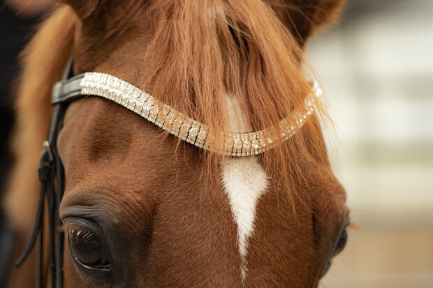 Frontalino Crystal Italia