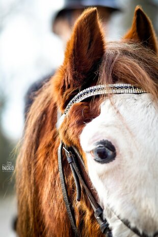 Frontriem Rainbow & Black