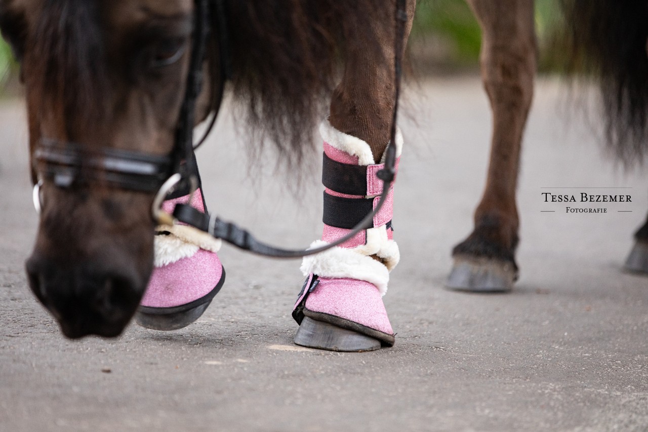 Pony bell boots on sale