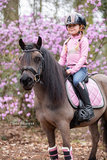 Set Sparkle Pink_